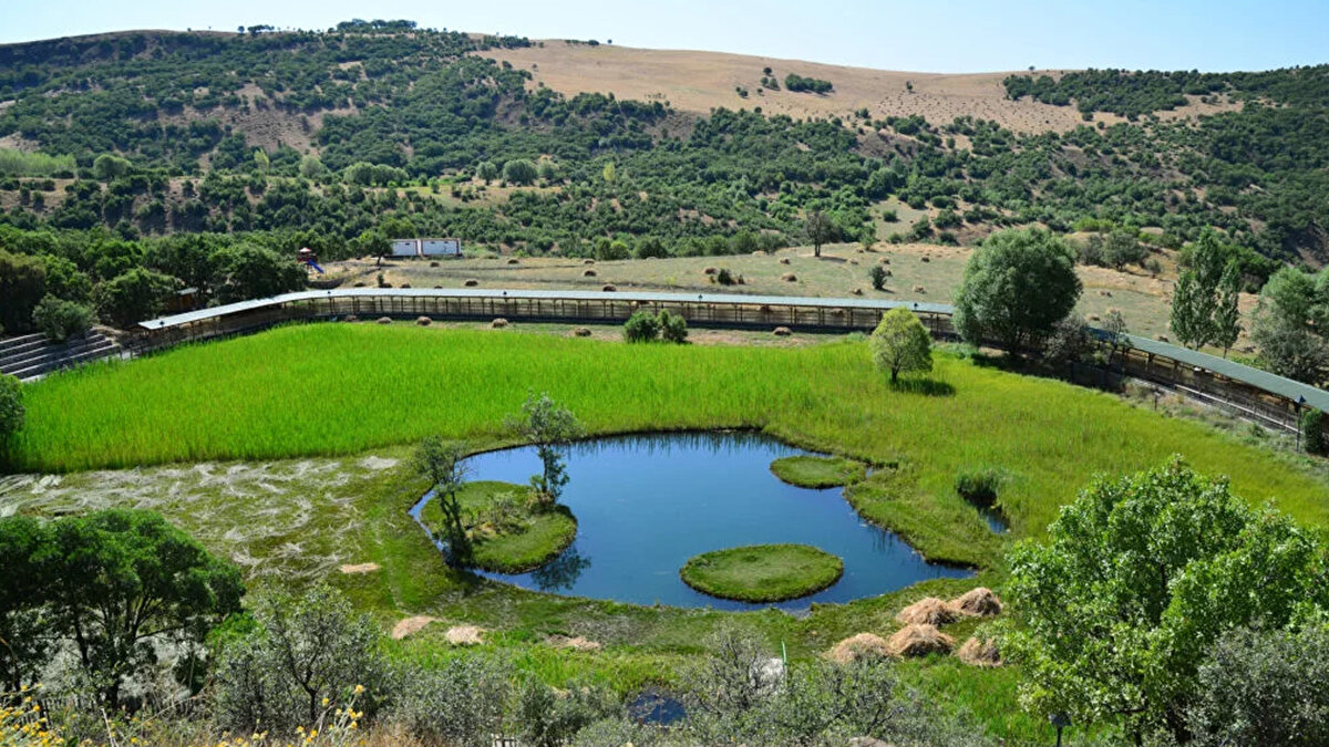 2-Bingöl: 25 bin 617 TL/m2 (%59,39)