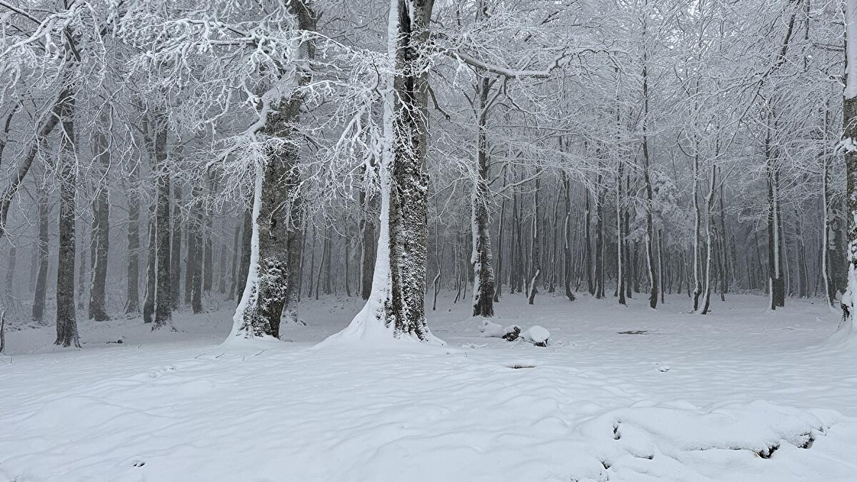 İstanbul'a Ne Zaman Kar Yağacak? İşte Tarih<br><br>İstanbul'da kar yağışının ne zaman başlayacağına dair merak edilen soruları yanıtlayan Afet İşleri ve Risk Yönetimi Dairesi Başkanı Ergün Cebeci, kış planlaması toplantısında önemli veriler paylaştı.