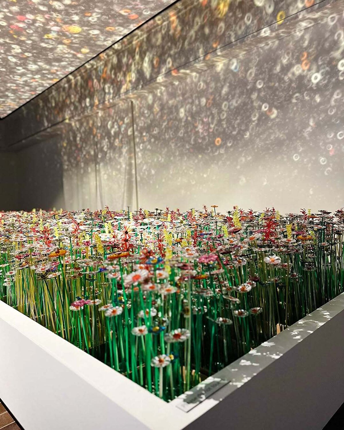 Studio mo man tai, bu dengeyi bir sayı olmaktan çıkarıp bir duyguya dönüştürmek istemiş. Ve ortaya, verinin parlamayı öğrendiği bu çiçek tarlası çıkmış.