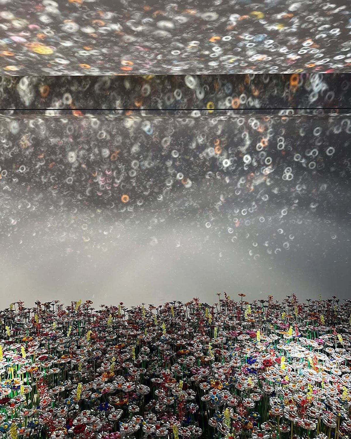 Dutch Design Week’in bu yılki en kucaklayıcı temalarından biri buydu zaten: çeşitlilik, birlikte var olma ve görünürlük.