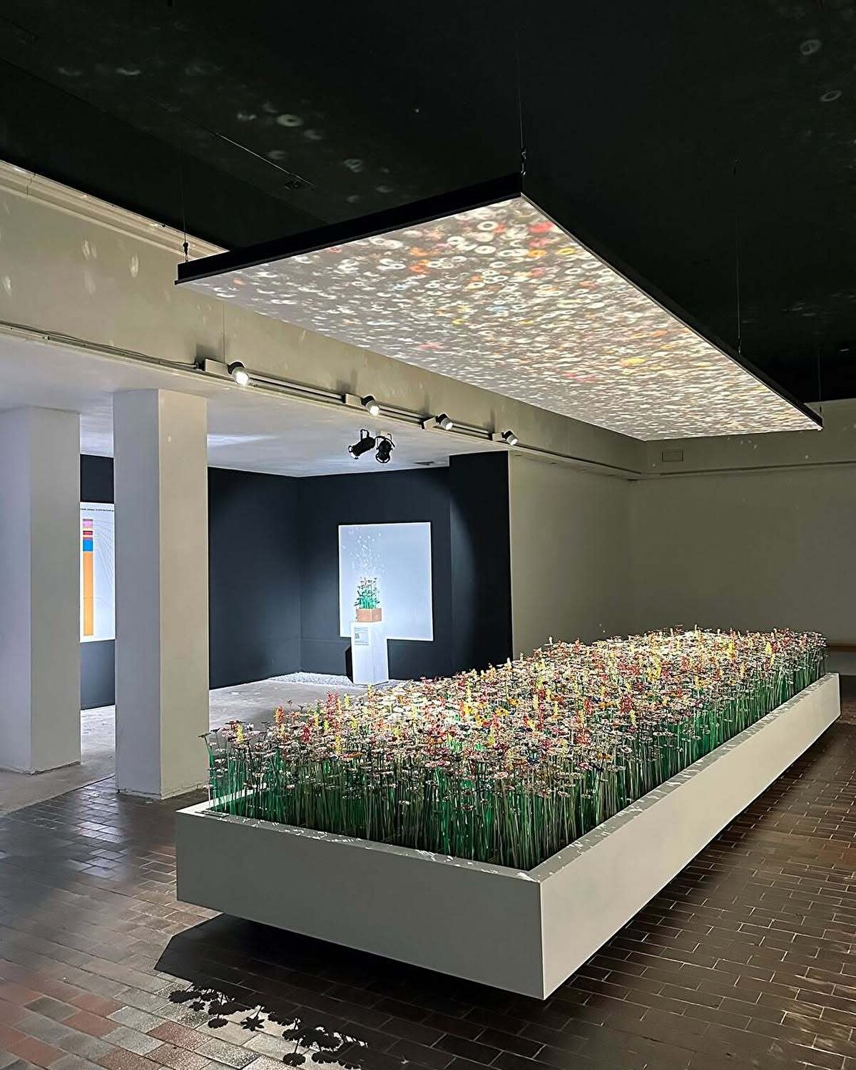 Hollanda’da yaşayan her dört kişiden birinin kökeni ülke dışına uzanıyor. Geri kalan yüzde 72,1 ise iki ebeveyni de Hollanda’da doğmuş bir nüfusu temsil ediyor.