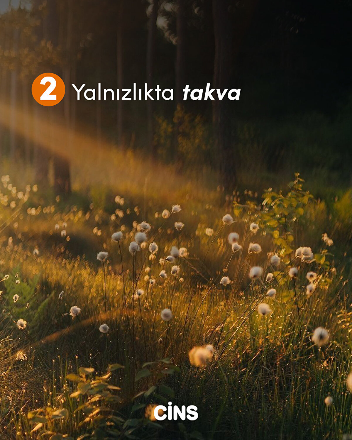 2 Yalnızlıkta takva