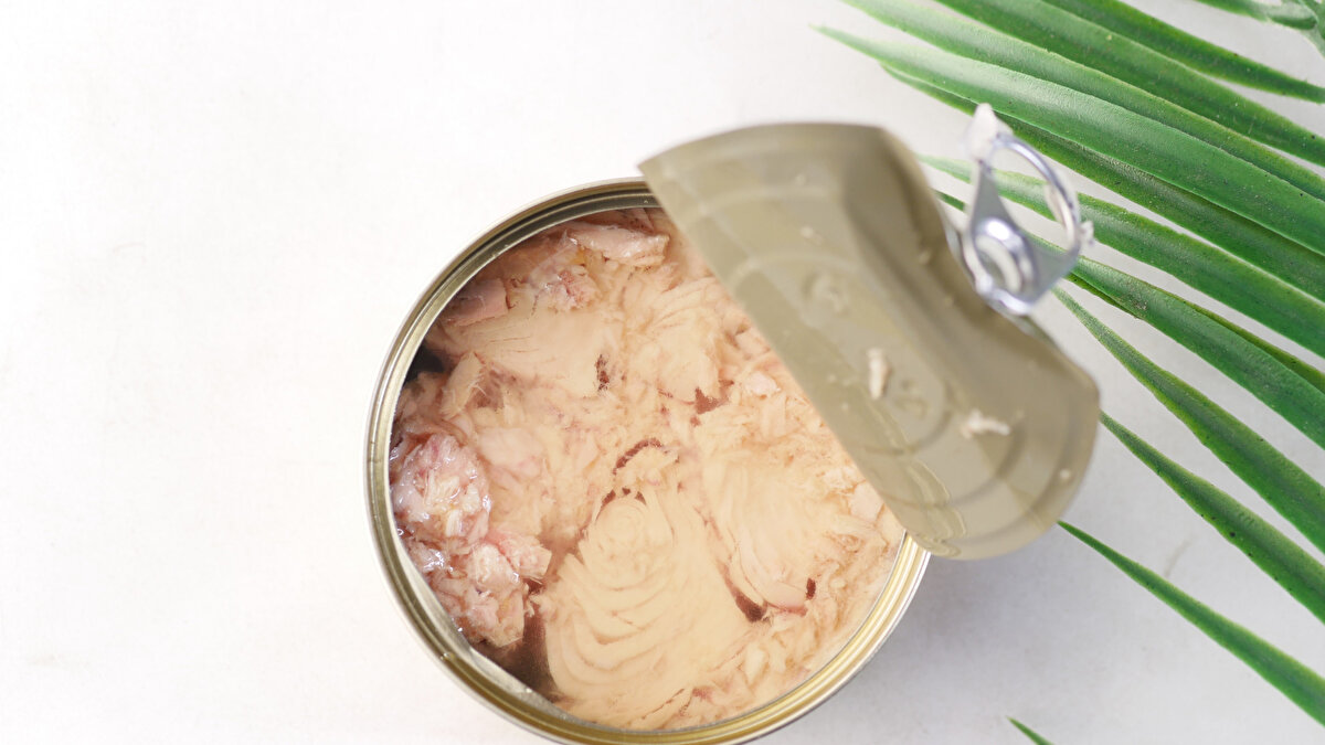 Konserve ürünlerdeki kaplama kimyasalları<br>Konserve kutularının iç yüzeyine uygulanan kaplamalarda da BPA benzeri kimyasallar bulunduğunu hatırlatan Dr. Canan, bu maddelerin metabolizma üzerinde olumsuz etkileri olduğuna işaret ediyor.<br><br>Ultra işlenmiş gıdalara karşı uyarı<br>Dr. Canan’ın uzak durduğu bir diğer grup, ultra işlenmiş ürünler. Bu gıdaların bağırsak bariyerini zayıflatabileceği, inflamasyonu artırabileceği ve bazı kanser türleriyle ilişkilendirilebileceği belirtiliyor.