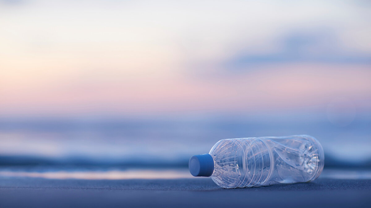 Ev içi hava kalitesini etkileyen ürünler<br>Kokulu mumlarda kullanılan parafin maddesi yanarken çeşitli uçucu organik bileşiklerin açığa çıkmasına neden olabiliyor. Bu nedenle araştırmacı, doğal içerikli olmayan mumları evine almadığını söylüyor.<br><br>Mikroplastik riski taşıyan ürünler<br>Plastik kesme tahtaları ve plastik su şişeleri de listede yer alıyor. Bu ürünlerden kopan mikroplastik parçacıkların yiyeceklere ve içme suyuna karışabildiği, bazı çalışmalarda kronik inflamasyonla ilişkilendirildiği aktarılıyor.