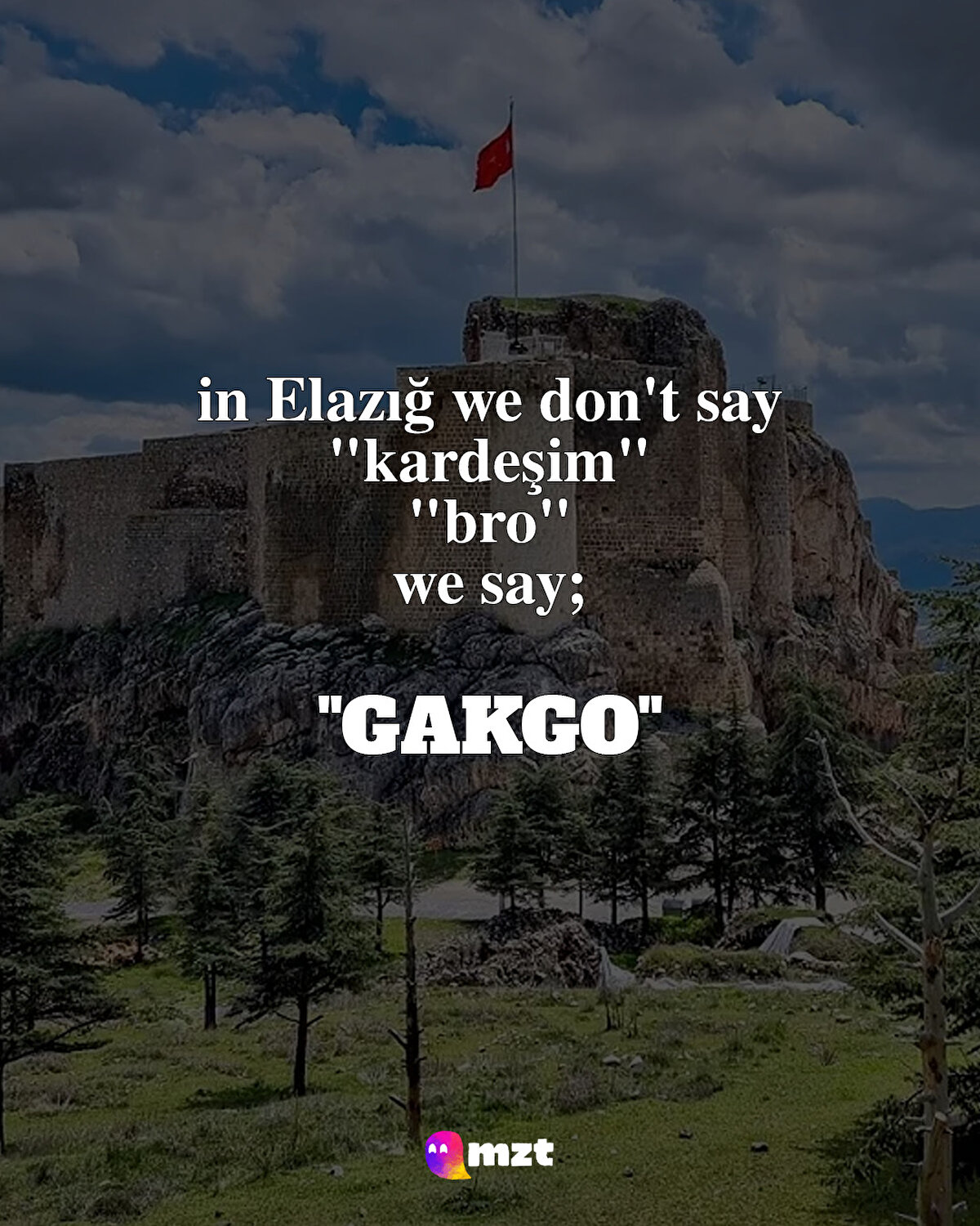 Gakgo: Kardeşim