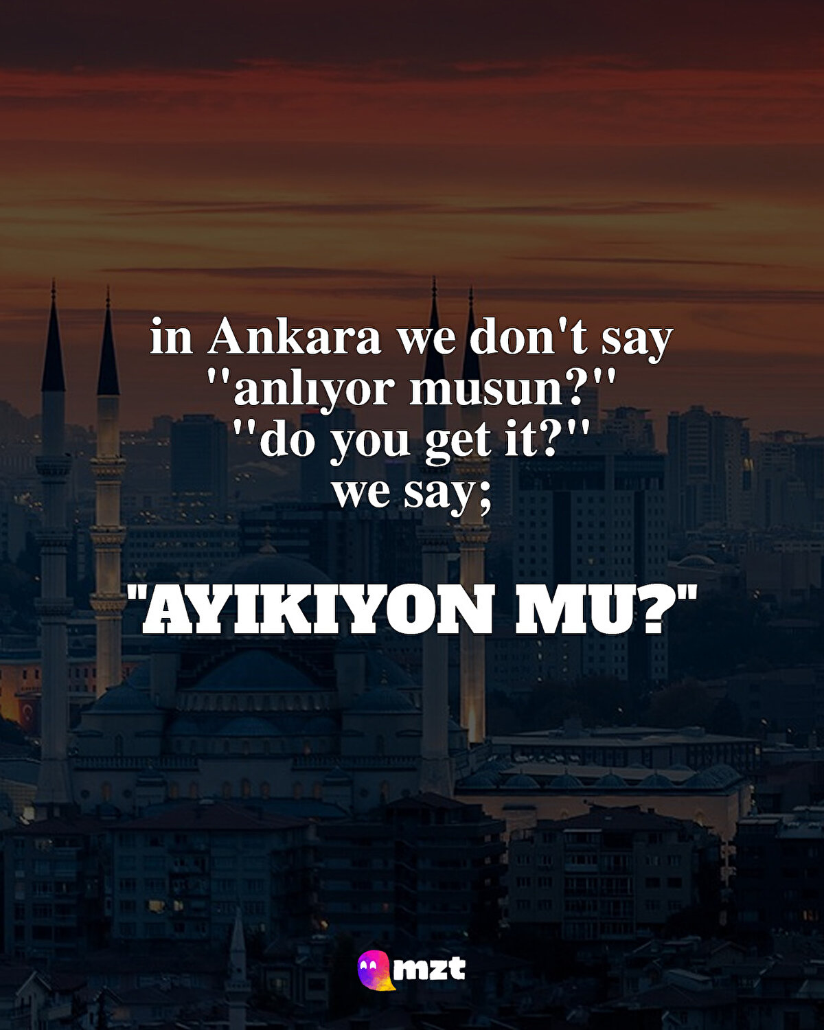 Ayıkıyon mu?: Anlıyor musun?