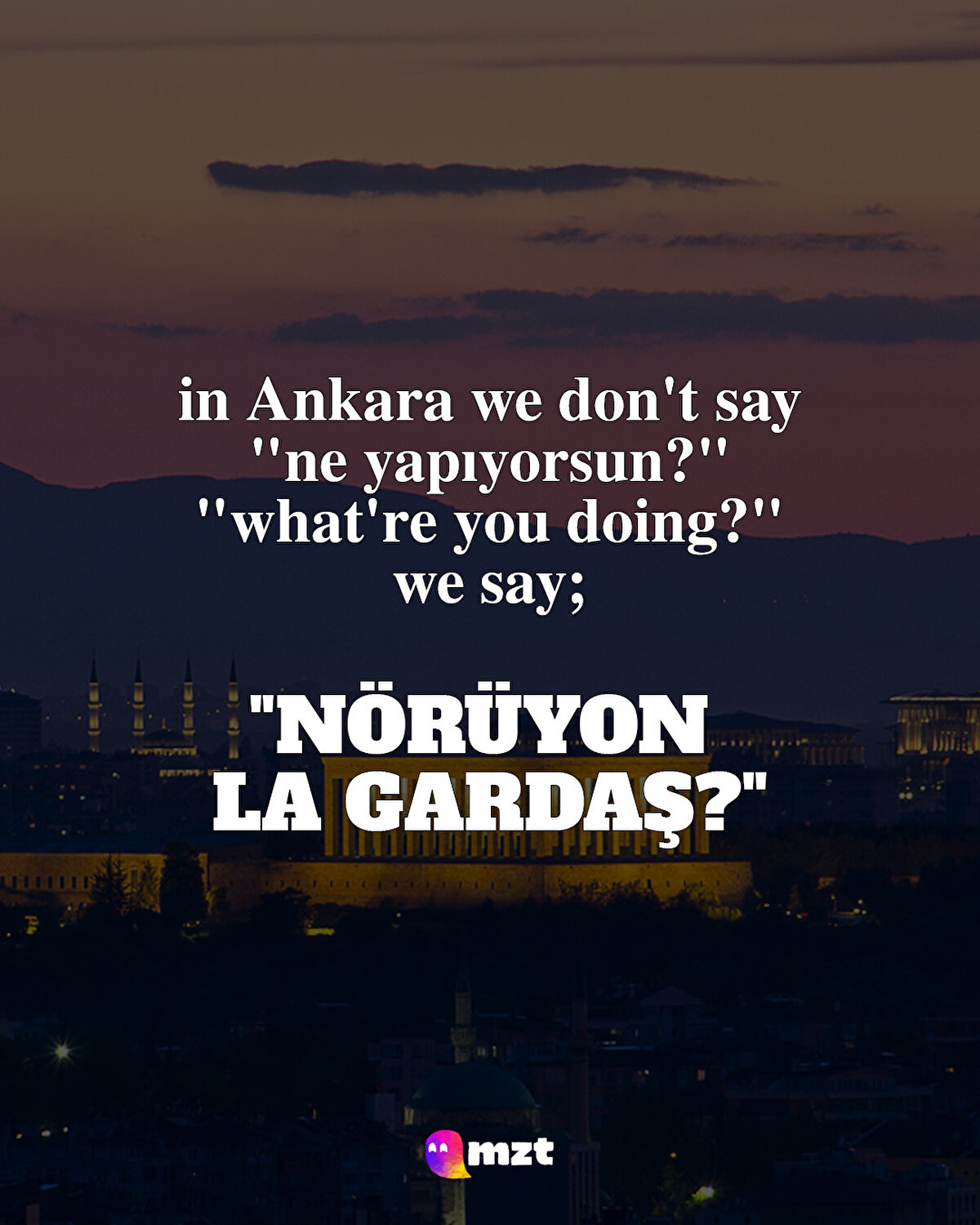 Nörüyon la gardaş?: Ne yapıyorsun?