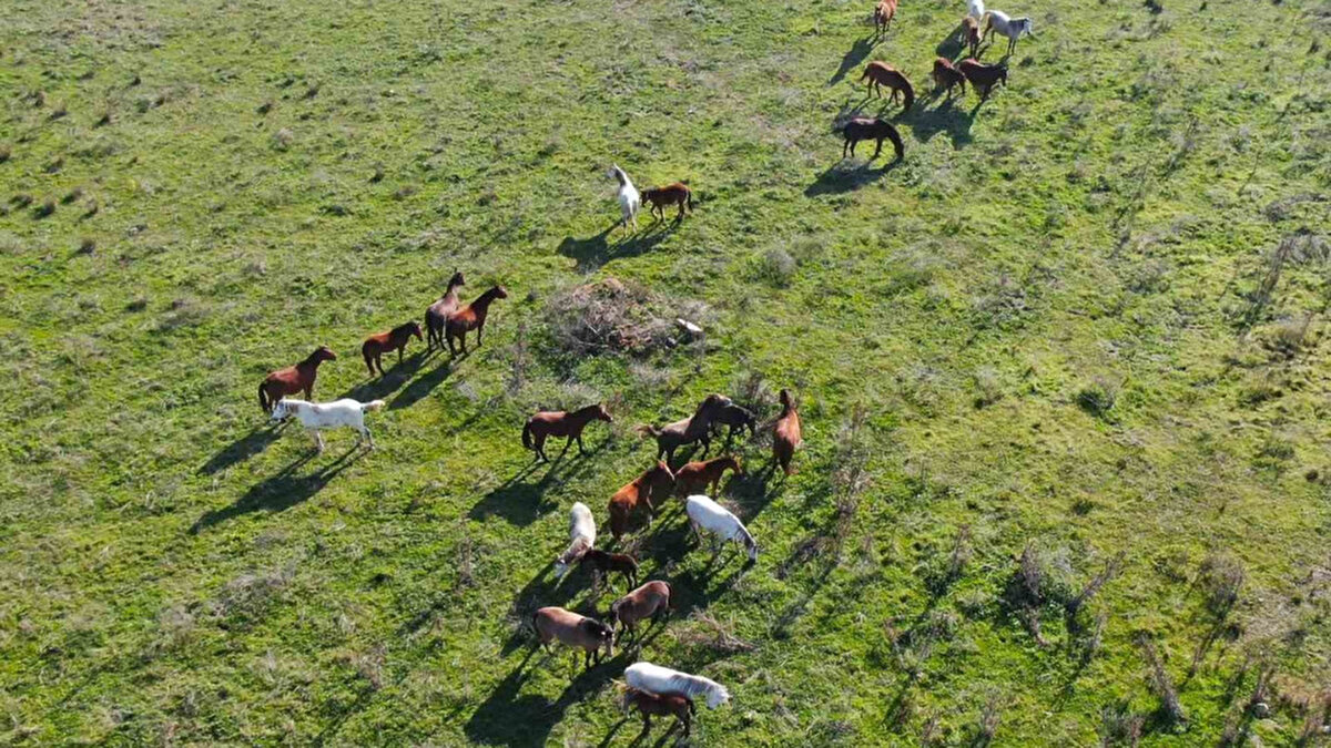 “Tahtalı Barajı fiilen devre dışı kaldı”<br><br>Prof. Yaşar, Tahtalı Barajı’ndaki su seviyesinin kritik eşiğin altına indiğini vurgulayarak, barajın aktif kapasitesinin neredeyse tamamen tükendiğini dile getirdi:<br><br>“Normal koşullarda 300 milyon metreküp su tutması gereken barajda bugün yalnızca 2 milyon metreküp su kalmıştır.”<br><br>Yaşar, geçmiş yıllarda barajlar doluyken bile yeraltı suyunun yoğun biçimde kullanılmasının bugün kentin karşı karşıya kaldığı maliyet ve su krizini ağırlaştırdığını belirtti.