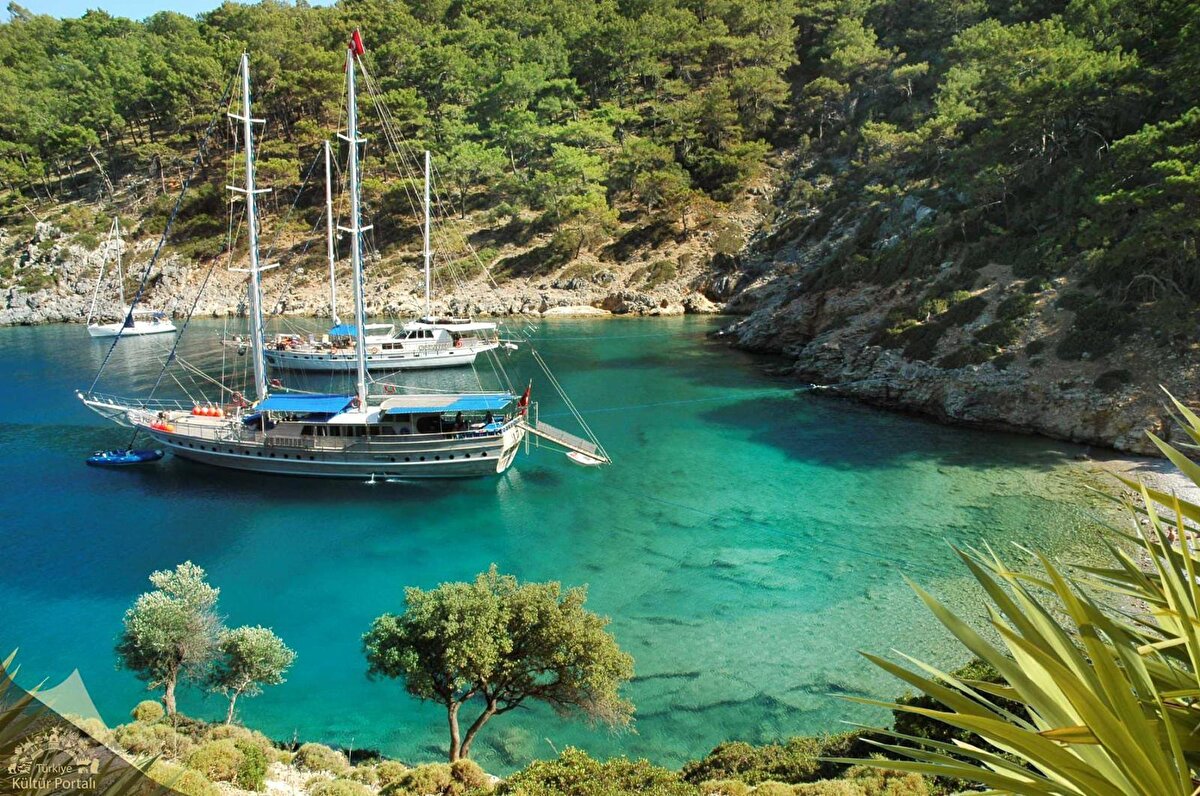 Dijital platformlar üzerinden yapılan turizm harcamaları ise ivmesini korudu. Online otel, tur, uçuş ve araç kiralama işlemlerini kapsayan online turizm hizmetleri %15,6 artışla 15,5 milyar dolara ulaştı.