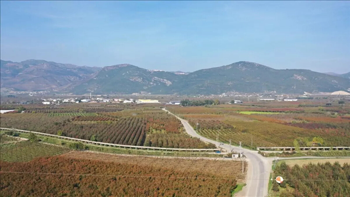 Yapılar için olası riskler<br>Yer hareketlerinin devam etmesi halinde, özellikle yerleşim alanlarındaki yapılarda hasar riski bulunuyor. Zemindeki farklı yönlü hareketlerin, binaların köşe noktalarında gerilmelere neden olabileceği ve bu durumun yapısal sorunlar doğurabileceği vurgulandı.