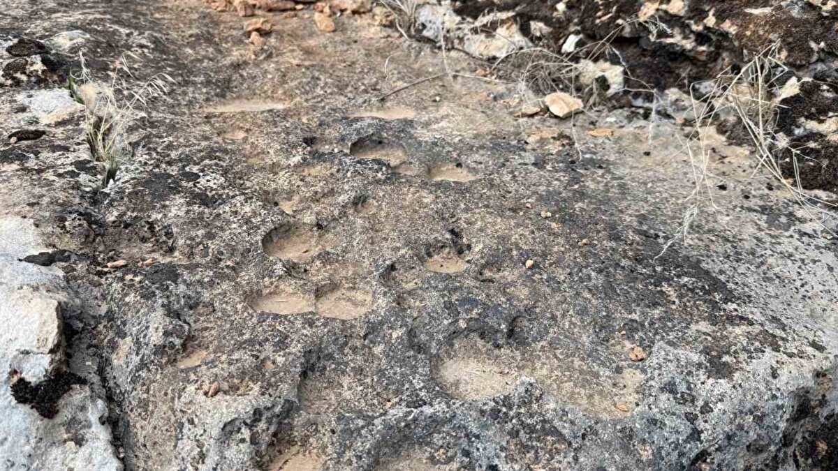 Doğanın sabırlı şekillendirmesi<br><br>Uzmanlara göre söz konusu oluşumlar, yüksek kayalıklardan damlayan yağmur ve kar sularının aşındırıcı etkisiyle ortaya çıktı. On binlerce yıl süren bu doğal süreç, kayaların yüzeyinde silindirik biçimli boşluklar meydana getirdi.