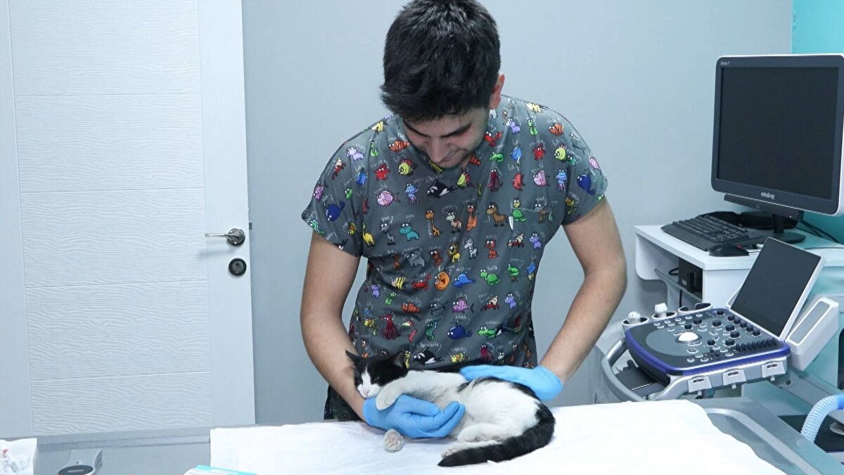 Seyahat ve sağlık hizmetlerinde sorun uyarısı<br><br><br>Sürenin dolmasına az bir süre kala konuya ilişkin merak edilenleri anlatan Veteriner Hekim Ece Nur Tunaman, “Altı aydan büyük hayvanlar için çip takma işlemi için verilen son tarih 31 Aralık 2025. Hayvan sahiplerimiz, bu tarihe kadar hayvanlarına çip taktırmazsa hem yurt içi hem yurt dışı seyahatlerde sorun yaşayabilirler. Ayrıca veteriner kliniklerinde bazı hizmetlerden yararlanamayabilirler. Bu tarihten sonra çip taktırmak istediklerinde ise cezai işlem uygulanacak. Yönetmelik, kedi, köpek ve gelincikleri kapsıyor. Yeni yılda altı aydan küçük hayvanlara ceza olmadan çip takılmaya devam edilecek; ancak altı aydan büyük hayvanlarda ceza geçerli olacak. Para cezasının güncel tutarı henüz belli değil fakat ortalama 5-7 bin lira civarında olabilir" diye konuştu.