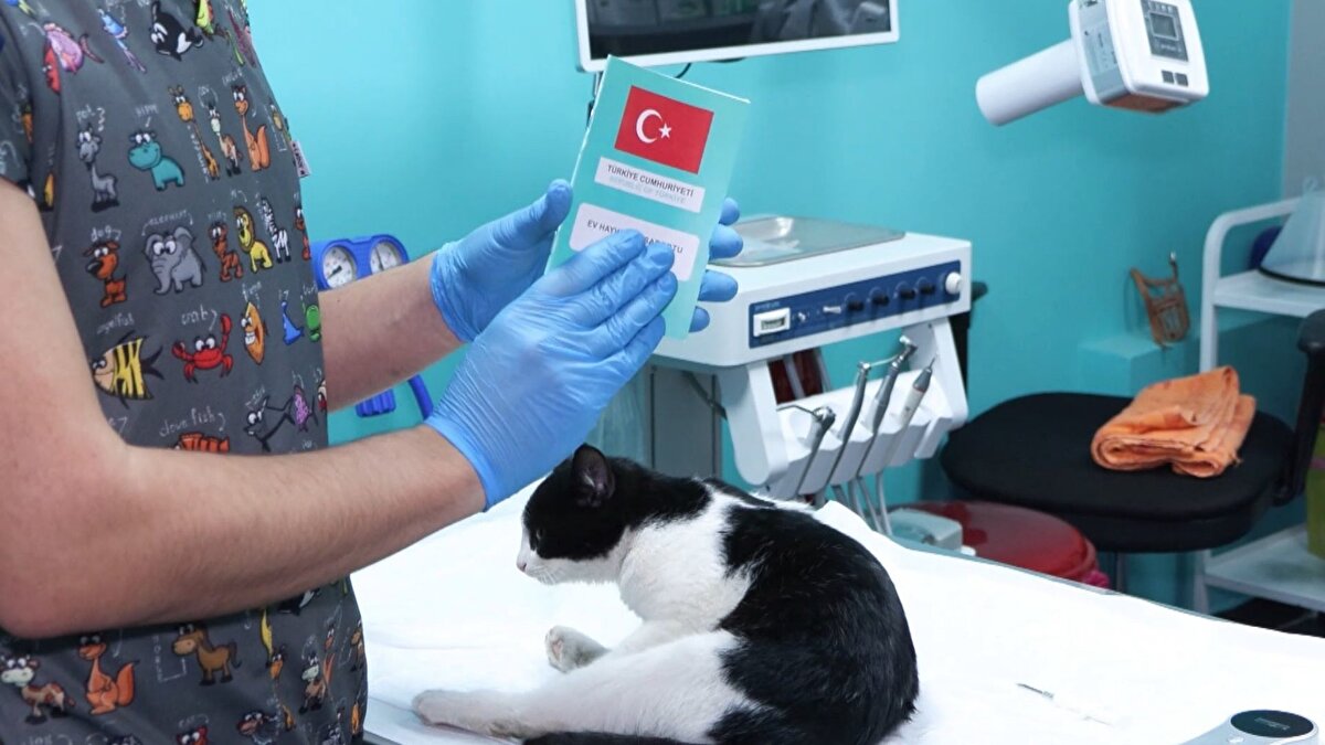 Mikroçip kimlik görevi görüyor<br><br>Mikroçipin bir takip cihazı olmadığını belirten Tunaman, sistemin GPS özelliği taşımadığını ancak kayıp hayvanların bulunmasını kolaylaştırdığını söyledi. Çip sayesinde kliniğe getirilen bir hayvanın sahibine kısa sürede ulaşılabildiğini aktaran Tunaman, özellikle son dönemde artan yoğunluk nedeniyle hayvan sahiplerinin işlemlerini son güne bırakmamalarını önerdi.