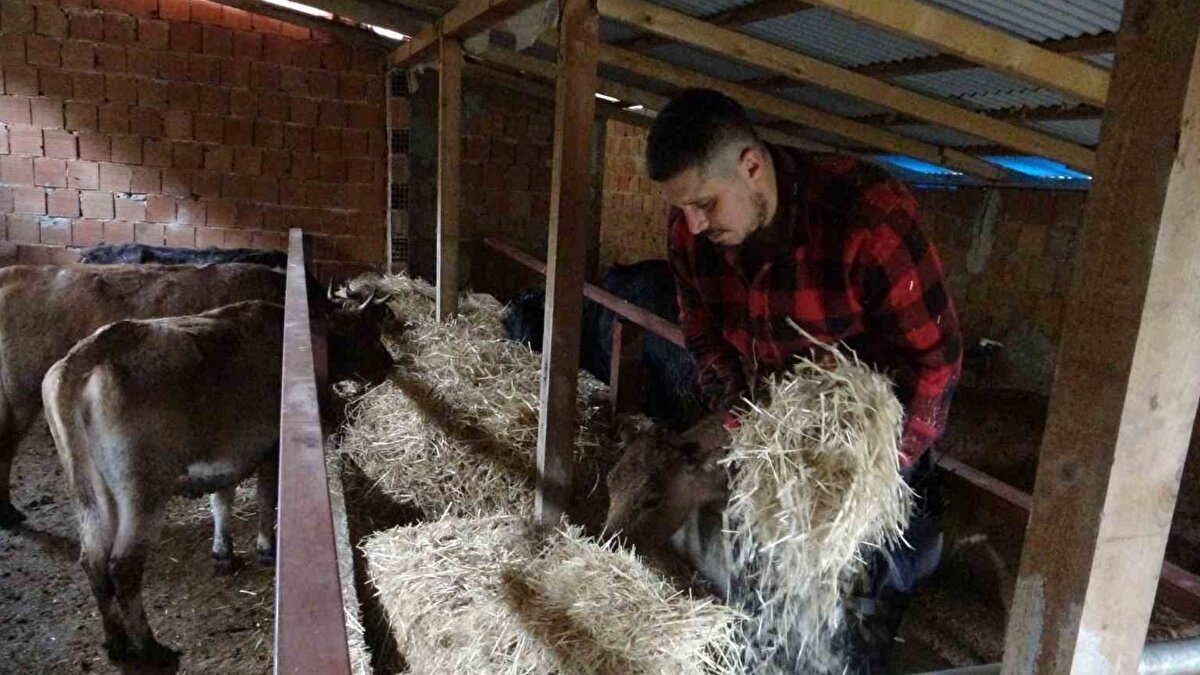 Gedik, Almanya’daki çalışma temposunun sosyal hayatı neredeyse ortadan kaldırdığını dile getirerek, eşiyle birlikte kesin bir karar aldıklarını söyledi. Türkiye’ye dönmeden önce hayvancılık yapmayı planladıkları için Almanya’da besicilik ve hayvan bakımı üzerine eğitimler aldıklarını aktaran Gedik, köye yerleşir yerleşmez işe başladıklarını ve kısa sürede 27 büyükbaş hayvandan oluşan bir sürü kurduklarını anlattı.