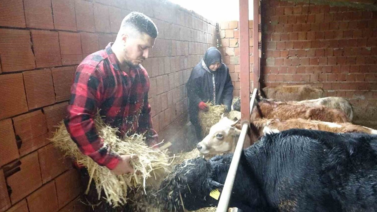 Hedef: besicilikte büyüme ve et üretimi<br><br>Hayvancılığı uzun vadeli bir yatırım olarak gördüğünü dile getiren Gedik, süt üretimi yerine besiciliğe odaklandıklarını kaydetti. Angus melezi hayvanlarla et verimini artırmayı hedeflediklerini belirten Gedik, ilerleyen dönemde hayvan sayısını artırarak kendi et ürünlerini işleyebilecekleri bir tesis kurmayı planladıklarını söyledi.