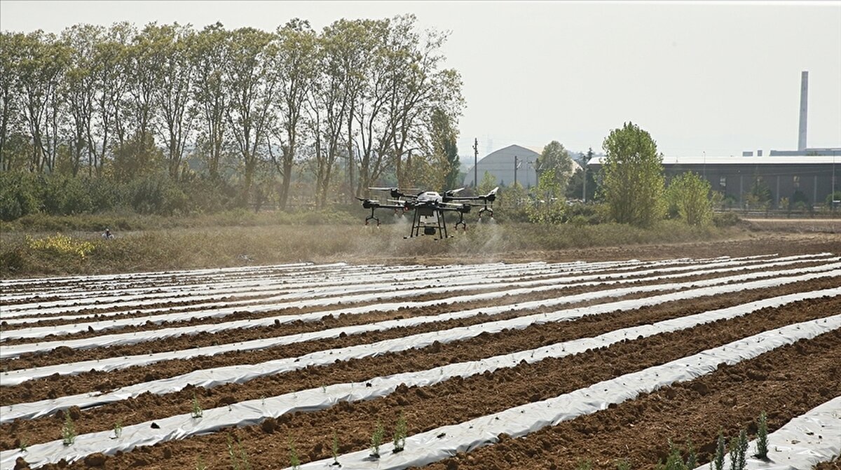 Tarım ve Orman Bakanı İbrahim Yumaklı, pestisit kalıntısını önlemek ve gıda güvenliğini artırmak amacıyla geliştirilen B-Reçete Sisteminin pilot uygulamasının Ocak 2026’dan itibaren Mersin, Samsun, Ankara ve Kırklareli’nde hayata geçirileceğini açıkladı. Yumaklı, sistemin 1 Temmuz 2026’da 81 ilde zorunlu olarak uygulanacağını bildirdi.