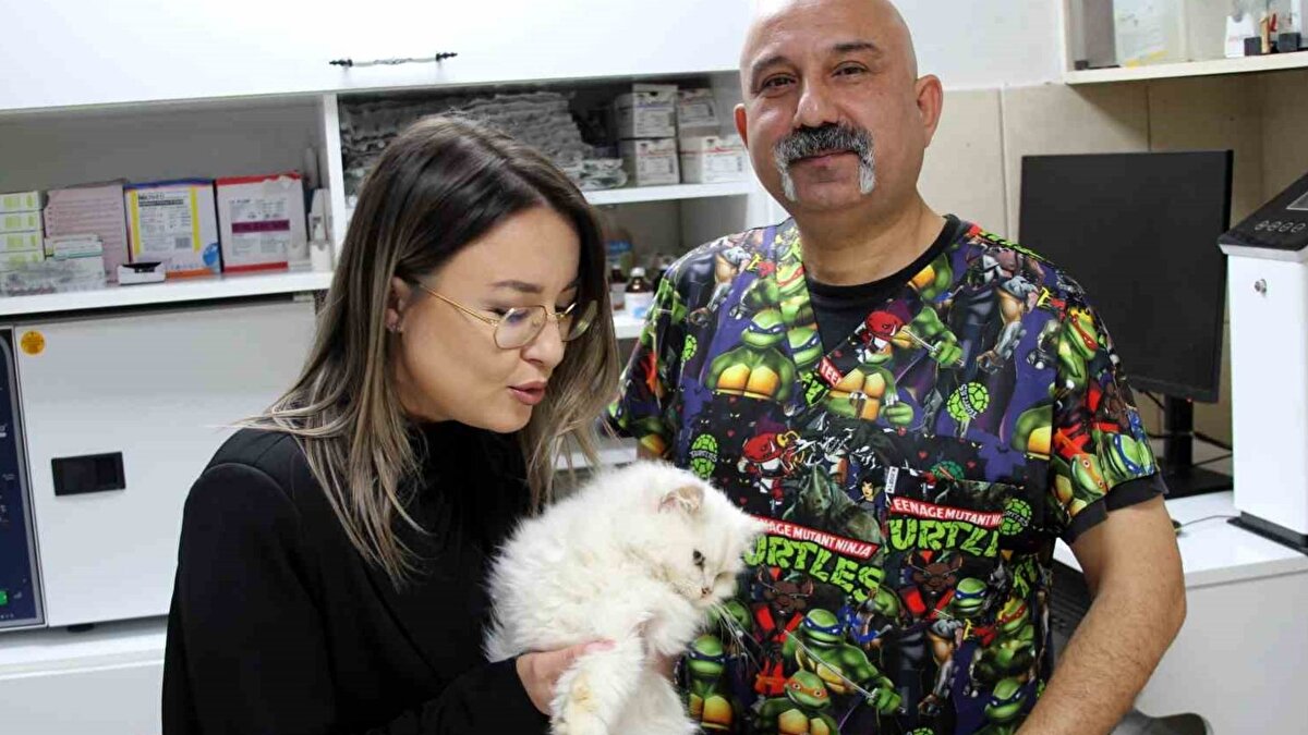 Bilimsel açıdan ilk vaka<br><br>Veteriner hekim Betin, Türkiye’de ve uluslararası kaynaklarda benzer bir vakaya rastlamadıklarını ifade ederek, bunun hem ulusal hem de küresel ölçekte ilk örnek olabileceğini söyledi. Kediyi bulan Gödeliner ise tedavi sürecinin tamamlanmasının ardından hayvanı sahipleneceğini belirtti.