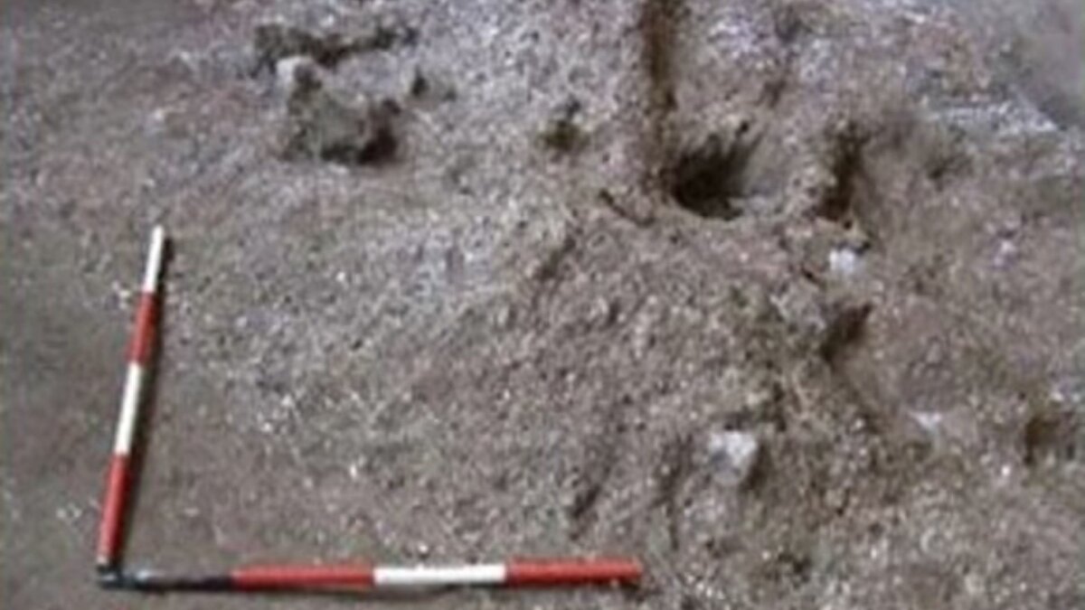 Pompeii’de yürütülen arkeolojik kazılarda, Roma İmparatorluğu’nun inşaat anlayışını aydınlatan eşsiz bir alan ortaya çıkarıldı. İtalya’da yer alan antik kentte bulunan ve Vezüv Yanardağı’nın M.S. 79’daki patlamasından etkilenmeden kalan şantiye, Romalıların beton üretiminde kullandığı yöntemleri doğrudan gözler önüne serdi. Bulgular, Pantheon ve Kolezyum gibi yapıların iki bin yılı aşkın süredir ayakta kalmasını sağlayan tekniklere ışık tutuyor.