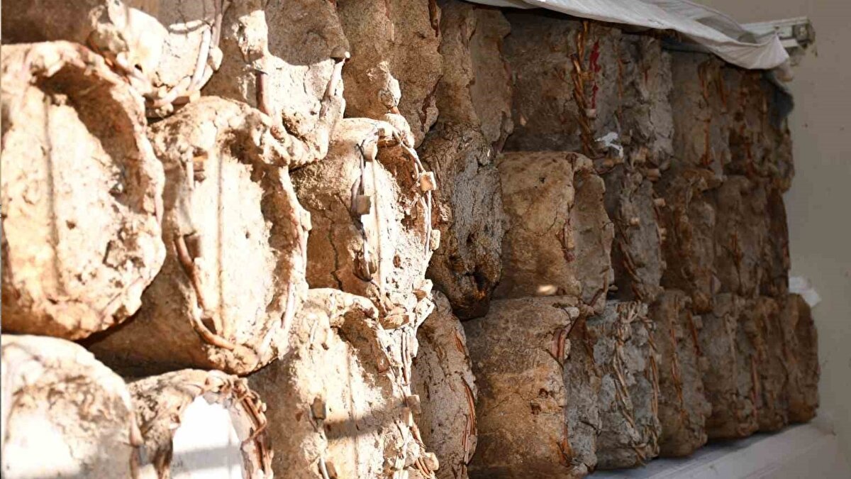 İlkbaharda yeniden doğaya çıkacaklar<br><br>Bal arılarının ilkbahar aylarında tekrar dışarı çıkarılarak uygun alanlara yerleştirileceği belirtildi. Üretici Kemal Diril, arılara uzun yıllardır büyük özen gösterdiklerini, doğal yöntemler dışında herhangi bir müdahalede bulunmadıklarını ifade etti.