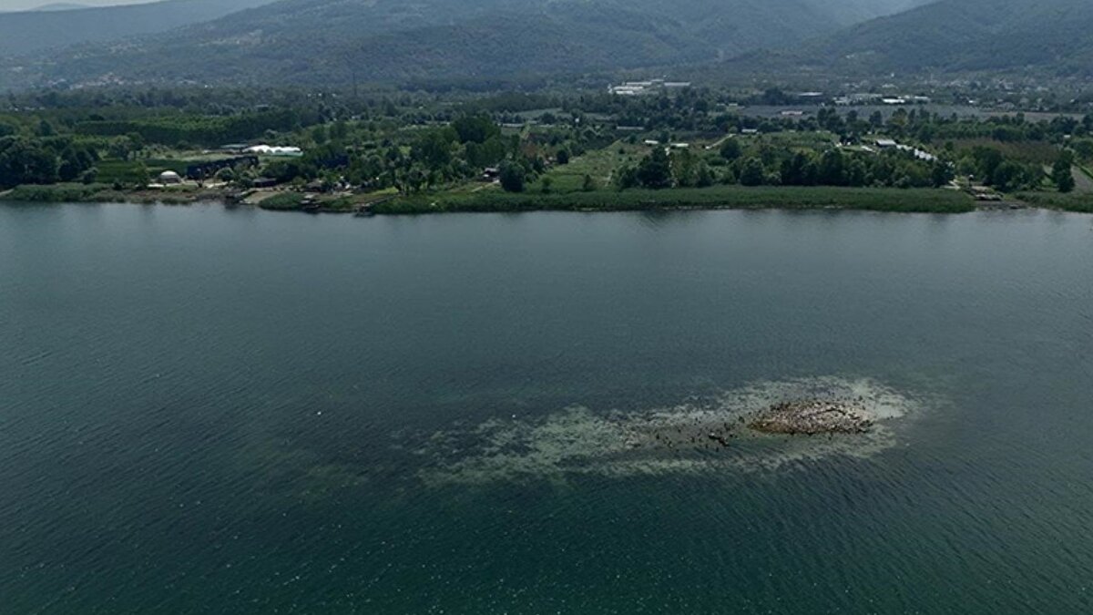 Yeraltı suyu ve kar yağışı hayati önemde<br><br>Sapanca Gölü’nün tabandan beslenen bir yapıya sahip olması, yeraltı sularını kritik hale getiriyor. Kar yağışlarının yetersiz kaldığı son yıllarda, gölü besleyen doğal döngü zayıfladı. Havzayı oluşturan derelerin ve yeraltı su kaynaklarının birlikte ele alınması gerektiğine dikkat çekilirken, su seviyesinin 30 metrenin üzerinde tutulmasının hayati olduğu vurgulanıyor.