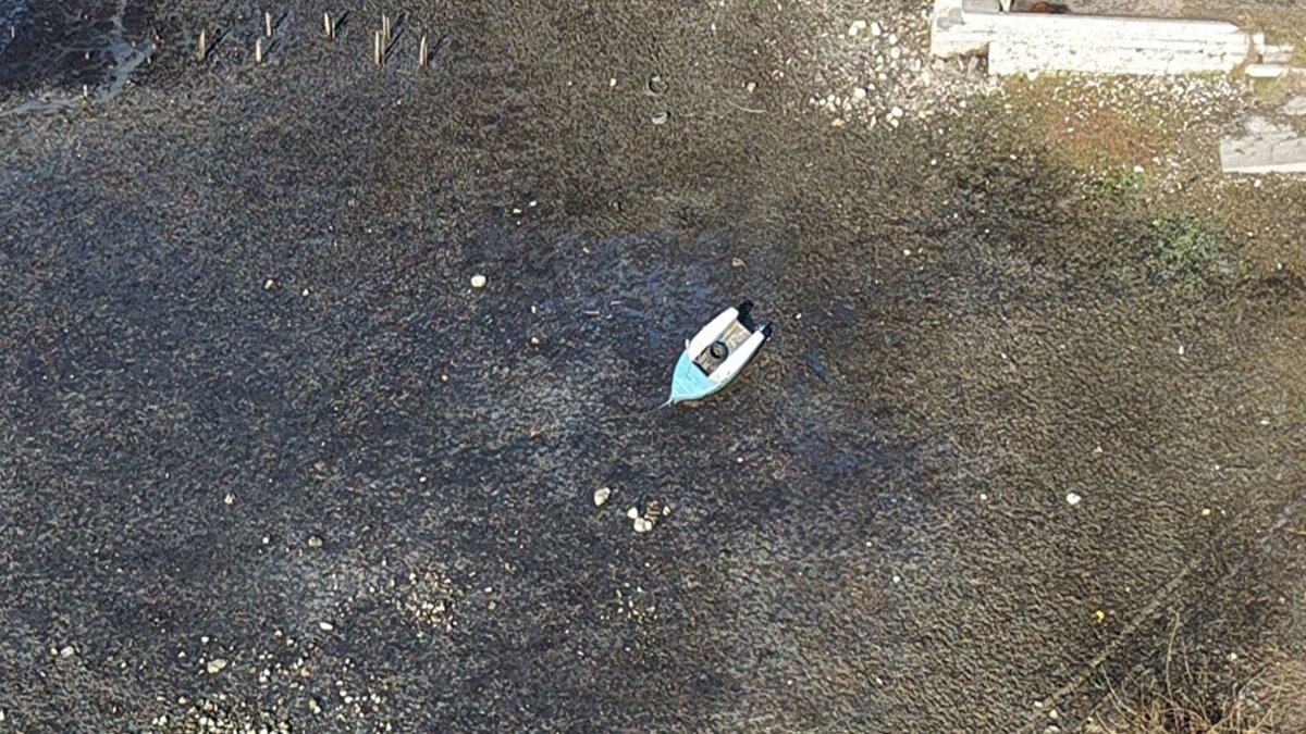 Kuzey barajlarında alarm seviyesi<br><br>Kentin kuzeyindeki bazı barajlarda doluluk oranları kritik eşiklerin altına indi. Kazandere Barajı’nda yüzde 1,91, Papuçdere Barajı’nda ise yüzde 2,57 ölçüldü. Diğer barajlarda güncel doluluk oranları şöyle kaydedildi:<br>Ömerli yüzde 16,25; Darlık yüzde 28,37; Elmalı yüzde 53,54; Terkos yüzde 19,01; Alibeyköy yüzde 12,59; Büyükçekmece yüzde 17,21; Sazlıdere yüzde 15,76; Istrancalar yüzde 29,64.