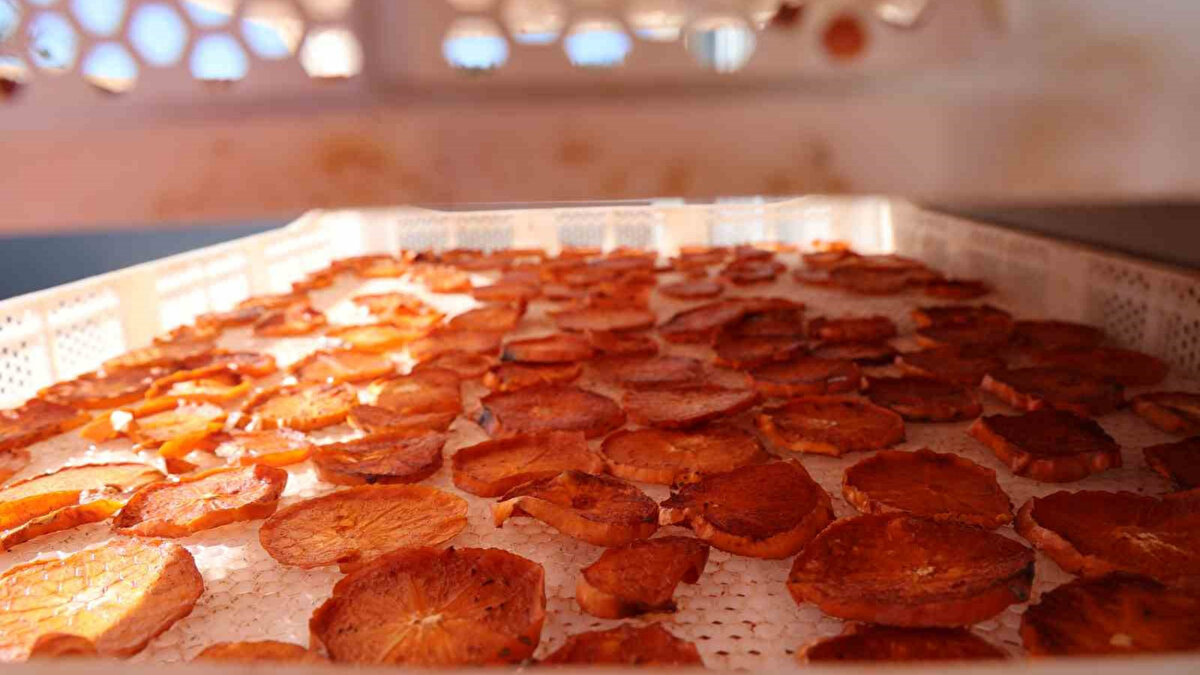 Kurutma tesisiyle ilk ihracat<br>Karabucak Mahallesi’nde köy ölçeğinde kurulan tesiste cennet hurması kurutularak cips haline getirildi. Tesiste bu sezon yaklaşık 1 tonluk ürün Almanya’ya ihraç edildi. Kurutulan hurmanın kilosu 500 ile 650 TL arasında değişen fiyatlarla pazara sunuldu. Sezon boyunca üretim kapasitesinin 15 tona kadar çıktığı ifade edildi.