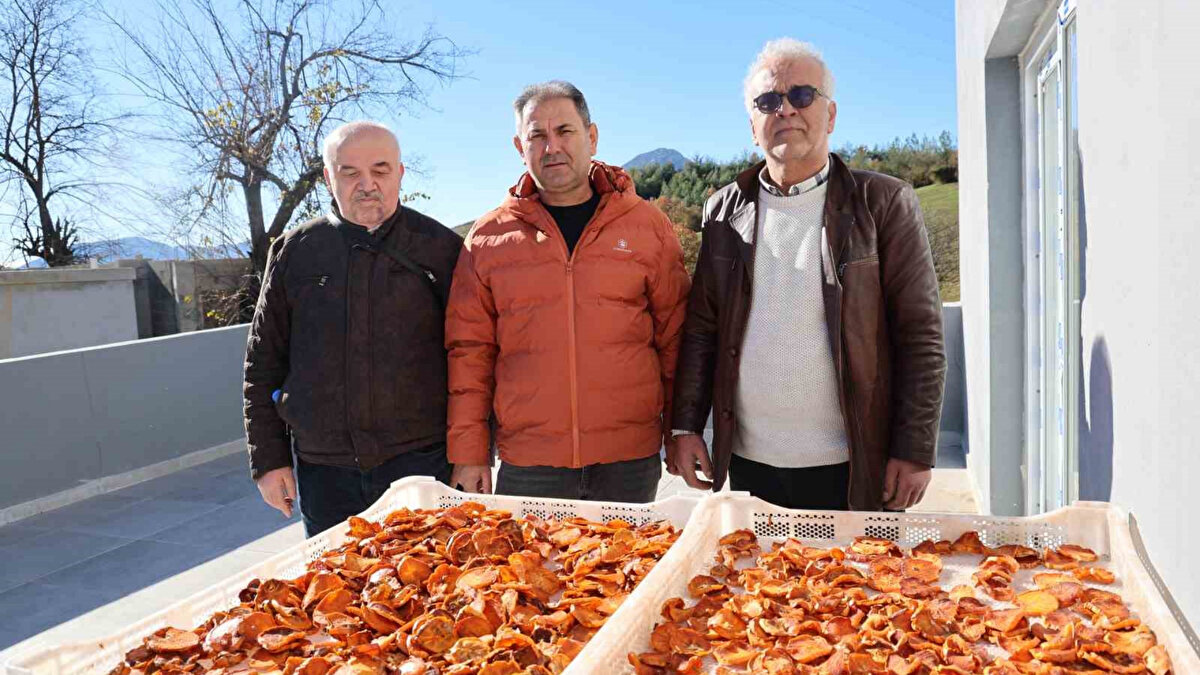 Sahada destek sürüyor<br>Kozan İlçe Tarım ve Orman Müdürlüğü ekipleri, bölgede hurma bahçelerinde denetim ve teknik destek çalışmalarını sürdürüyor. Üreticilere bakım ve gelişim süreçlerinde rehberlik edilirken, sonbaharda bahçelerin aldığı renkler bölgeye görsel bir hareketlilik kazandırıyor.