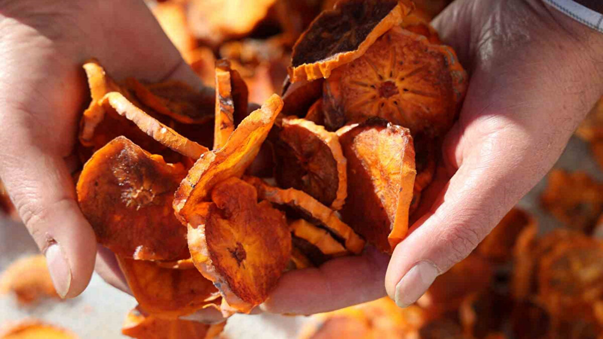 İstihdam ve yerel talep<br>Tesiste yaklaşık bir aylık süreçte 20 kişiye istihdam sağlandı. Üreticiler, cennet hurmasının yaş, kuru ve cips olarak değerlendirilmesinin bölge ekonomisine katkı sunduğunu belirtti. Kozan’daki üreticiler, ürünün “Kozan hurması” adıyla tanınmasını ve markalaşmasını talep ediyor.