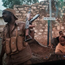 Somalie : Quelque 61 terroristes des Shebabs tués lors d'une opération de l'armée