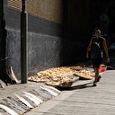 UE: un million de signatures pour interdire le commerce des ailerons de requins

