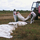 Mozambique: la SADC va prendre des mesures sur le scandale des cadavres brûlés