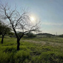 Les montagnes de la Mecque sont devenues vertes