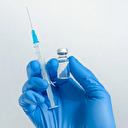 L’Ouganda va produire des vaccins anti-tiques