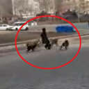 Sahipsiz köpeklerin saldırdığı kızı mahalleli kurtardı