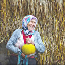 Avrupa’ya tescil seferberliği