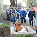 Antalya'da sulama kanalı çukuruna düşen inek iş makinesiyle kurtarıldı