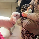 Kuzusu hastanede bile peşini bırakmadı