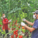 İhtisas OSB'leri üretimi artırdı