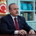 TBMM Başkanı Şentop Cenin Mülteci Kampı'na yapılan baskını kınadı