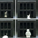 Terminatör gerçek oldu: Şekil değiştirebilen insansı robot hapishaneden kaçtı