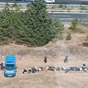 Göçmen kaçakçılarına hava destekli operasyon