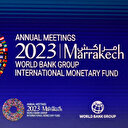 Pour le FMI, la taxe carbone est essentielle à une politique environnementale efficace