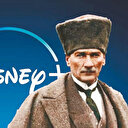 Disney'e cezayı Meclis kesecek