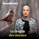 La langue des oiseaux