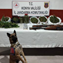 Konya'da belirlenen adreslere operasyon: Zehir tacirleri kıskıvrak yakalandı