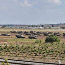 Eli kanlı İsrail ordusu kara harekatına hazırlanıyor: Tanklarla yeni bir cephe daha açıldı