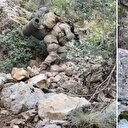 Mehmetçik terör inlerine böyle girdi: Ulaşılamaz denen her yerde biz varız