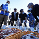 L'AIEA inspecte des poissons sur un marché de Fukushima