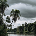 Avant la COP28, l’Afrique face au défi de "gérer ses ressources naturelles"