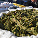 L'ONU réclame une hausse mondiale des salaires, sauf dans les secteurs "destructeurs"